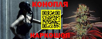 крисы Гай