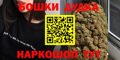 крисы Гай