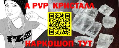 спайс Гатчина