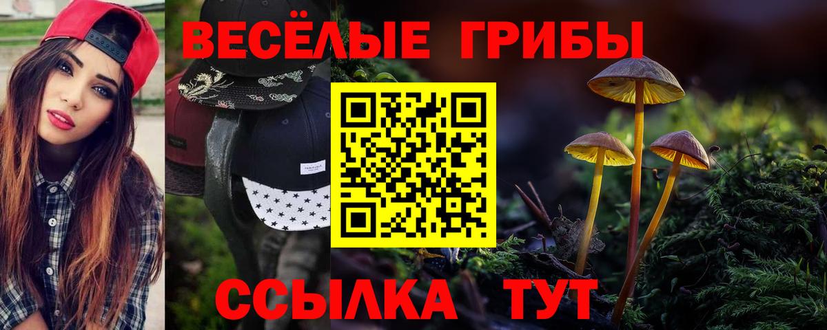 Галлюциногенные грибы Psilocybine cubensis  цена наркотик  Орехово-Зуево  Вход с VPN 